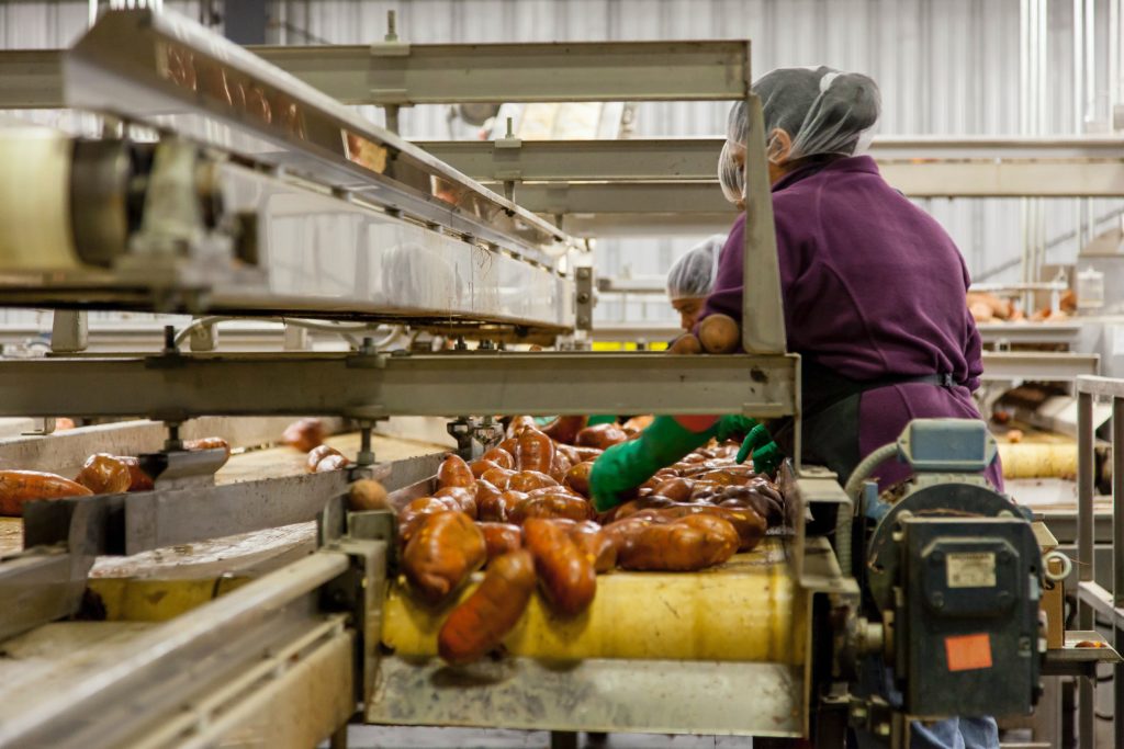 Image of women working on an industrial machine. When upgrading manufacturing industrial equipment there's more to consider than the cost of the machines.